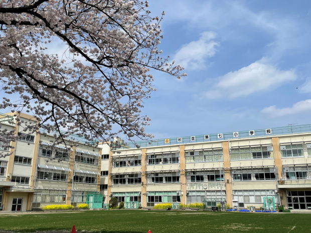 エントピア第一荻窪 小学校