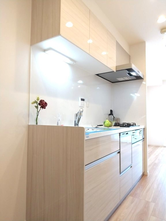 パークウェル銀座ＥＡＳＴ 同仕様写真（キッチン）