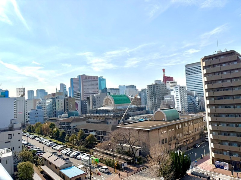 パークウェル銀座ＥＡＳＴ 眺望写真