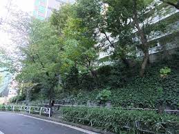 目黒区駒場１丁目　新築戸建　全1棟 公園