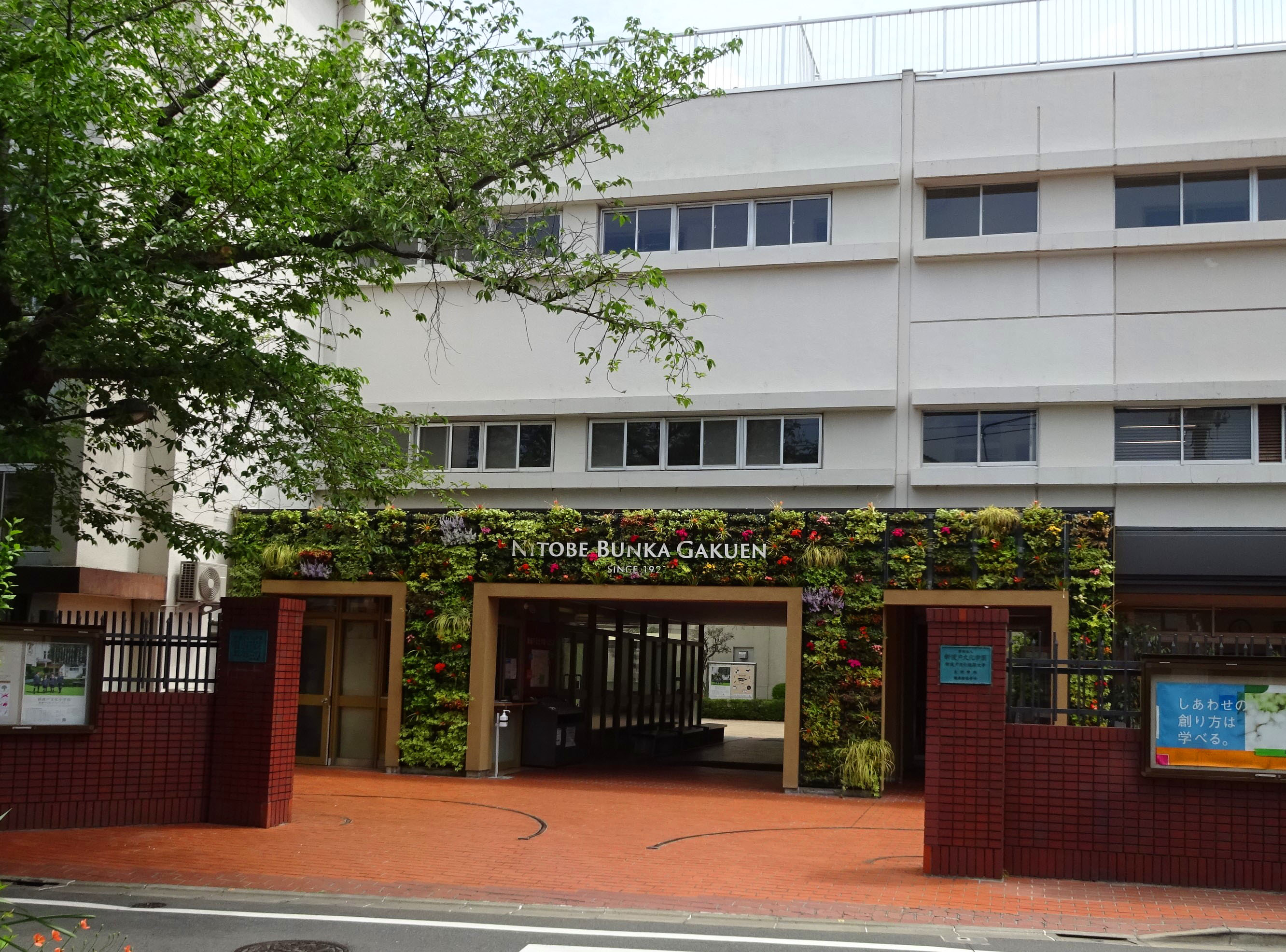 中野区本町６丁目　新築戸建　全1棟 大学・短大