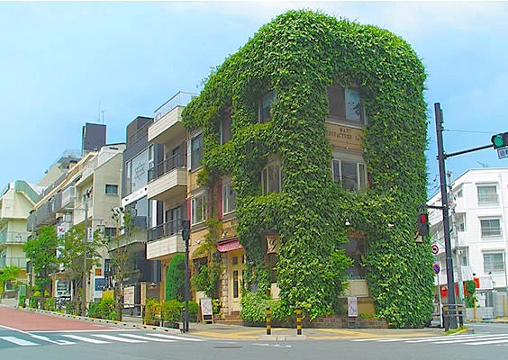 ドゥアージュコラッド松濤 その他