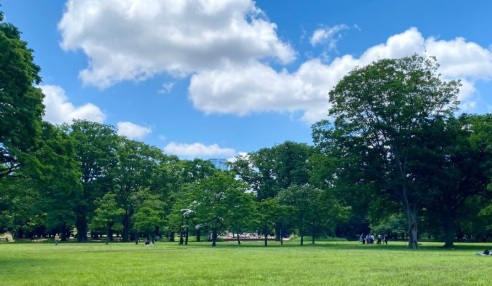 ドゥアージュコラッド松濤 公園