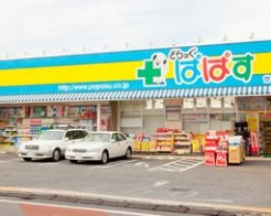 世田谷区深沢５丁目　中古戸建　限定1棟 ドラッグストア
