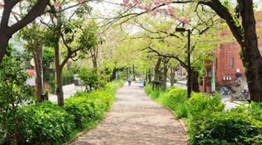 世田谷区深沢５丁目　中古戸建　限定1棟 公園