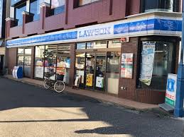 コスモステージ宿河原 コンビニ