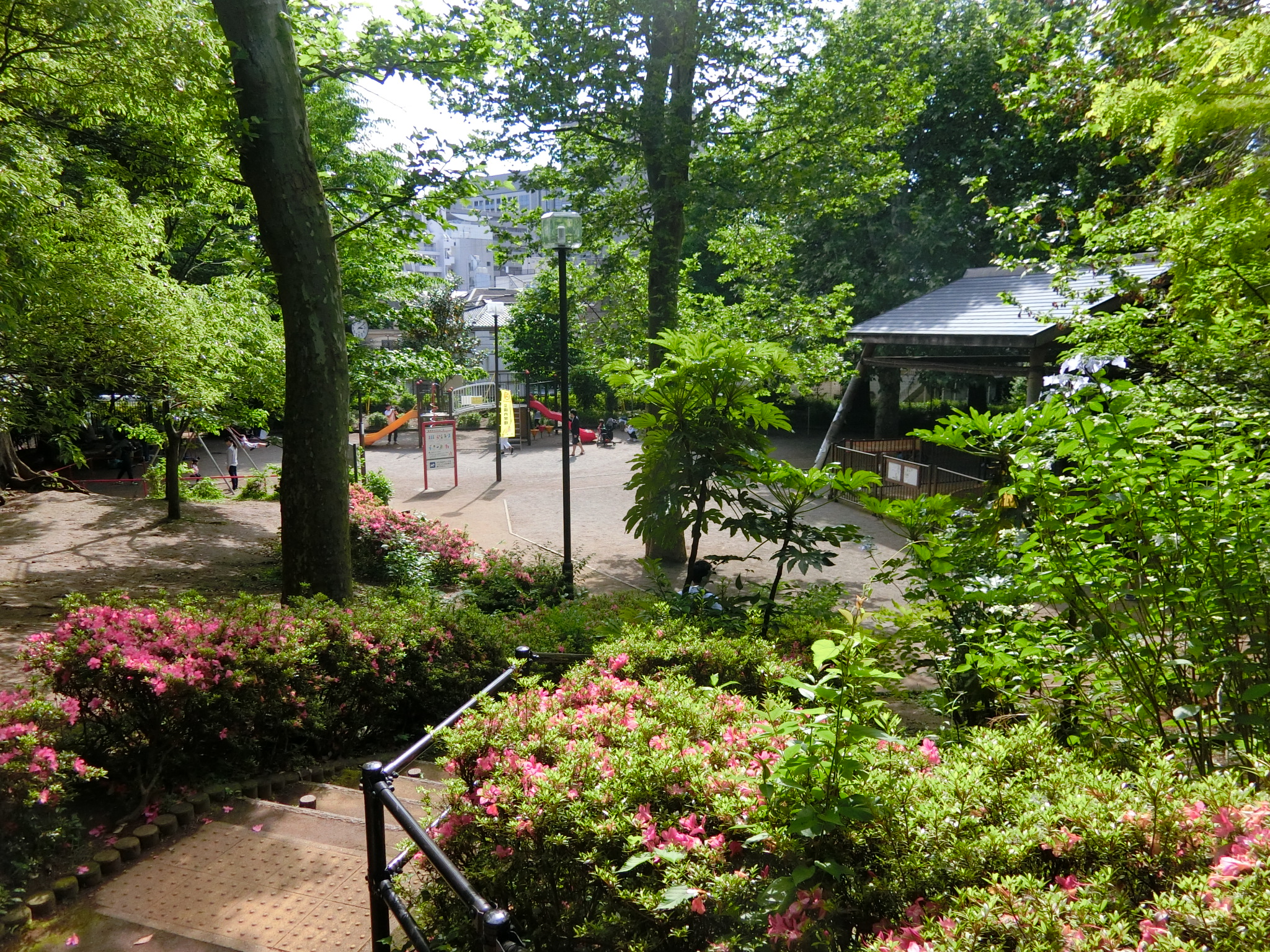 プラウド渋谷東 公園