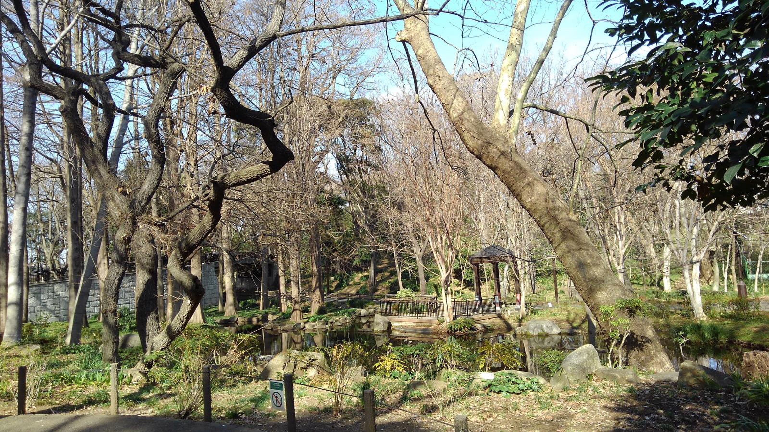パークホームズ下目黒 公園