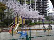 コスモ押上ガーデンシティ 公園