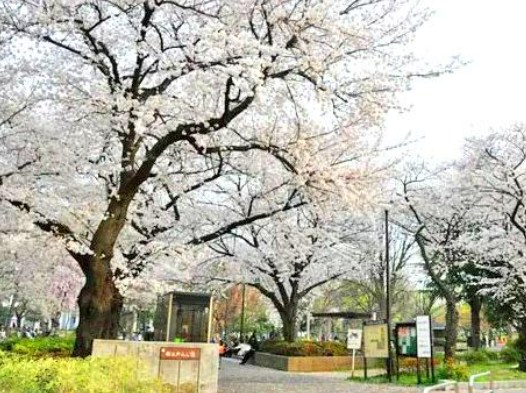 クリオ新宿戸山壱番館 その他