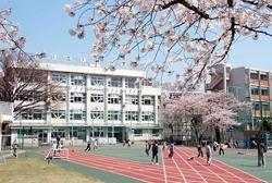 クリオ新宿戸山壱番館 小学校