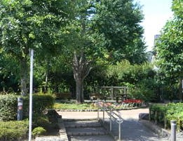 世田谷区八幡山２丁目　新築戸建　最終B棟 公園