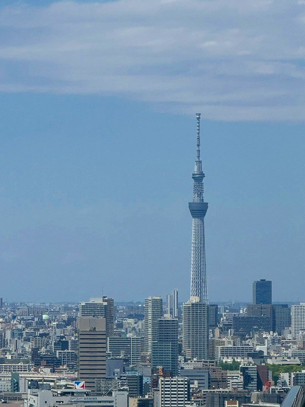 Ｗ　Ｃｏｍｆｏｒｔ　Ｔｏｗｅｒｓ　ＷＥＳＴ 眺望写真