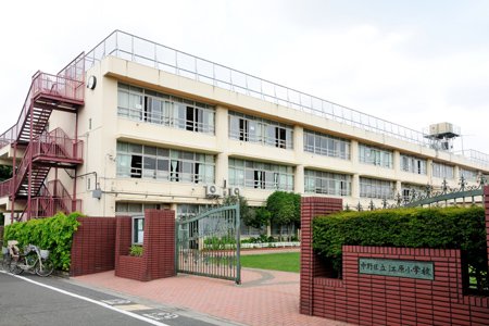 中野区江原町１丁目　中古戸建　限定1棟 小学校