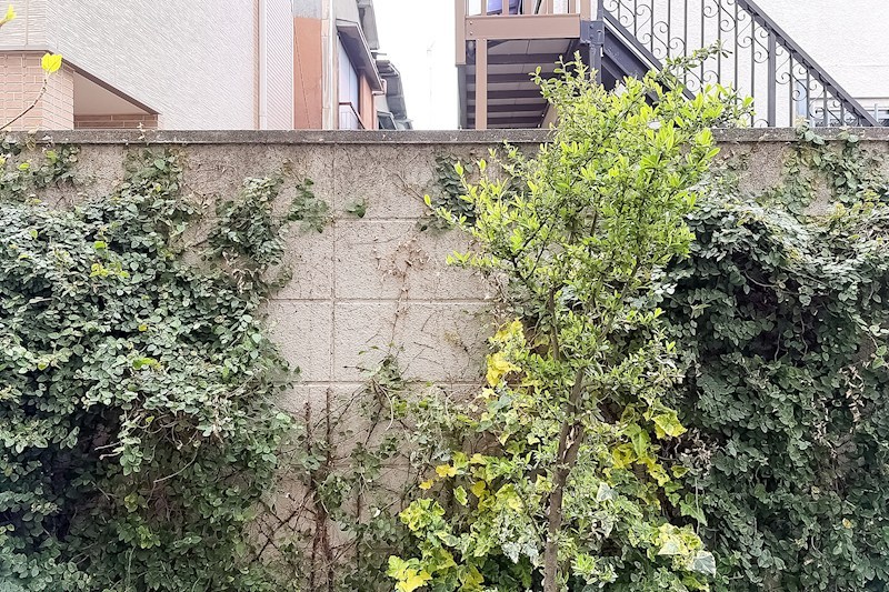 エンゼルハイム鵜の木 現地写真（玄関）