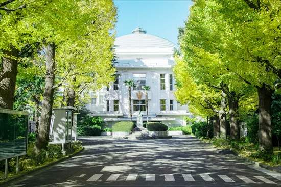 品川区東中延１丁目　売地　限定1区画 大学・短大