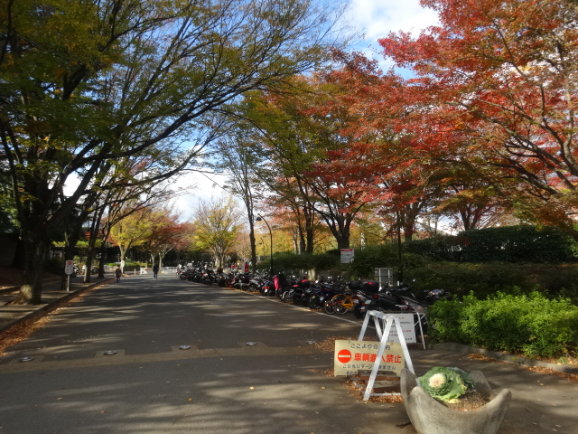 シャンボール弦巻 公園
