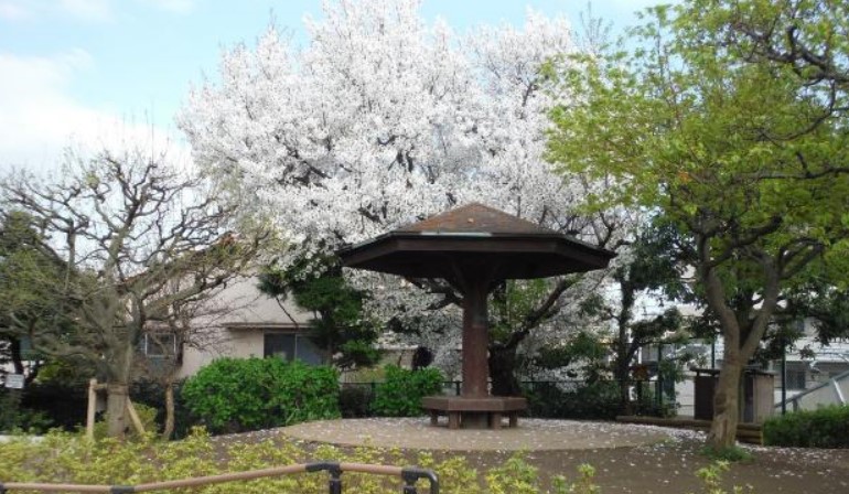 大田区田園調布本町　売地　宅地1 公園