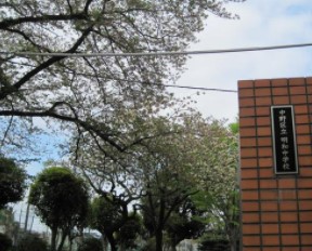 中野区白鷺１丁目　新築戸建　A号棟 中学校