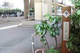 オーベルジュ日本橋 公園