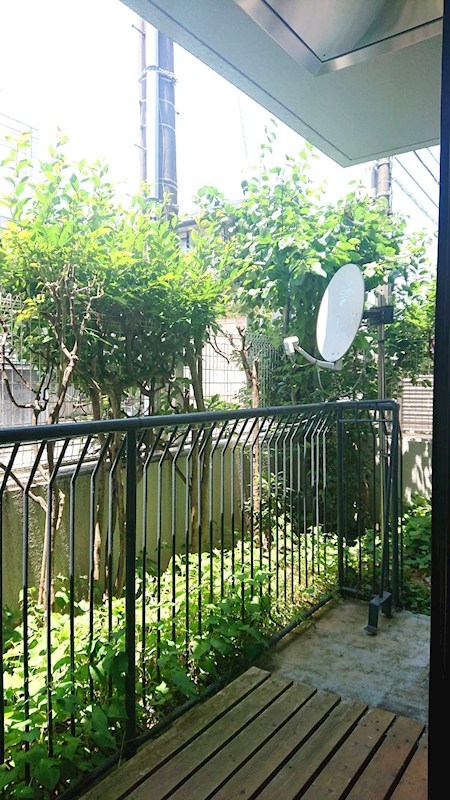 東京都練馬区氷川台４丁目54-21 現地写真（庭）