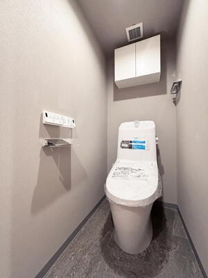 シャンボール三田 内観写真（トイレ）