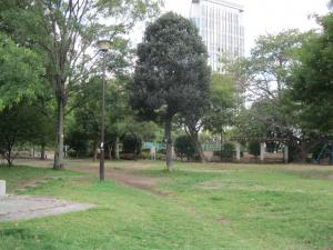 シャンボール三田 公園