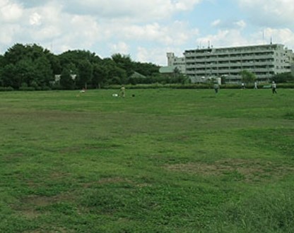 中野区沼袋４丁目　借地権付売地　2区画 公園