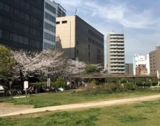 銀座二丁目レジデンス 公園