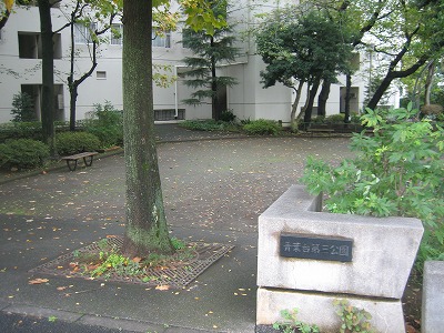 ドルフ青葉台３号棟 公園