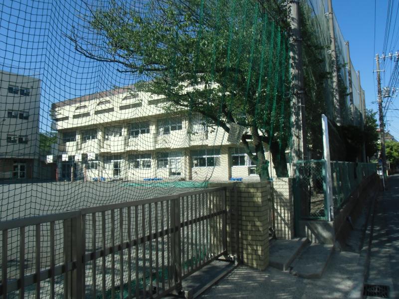 ペガサスマンション大倉山 小学校