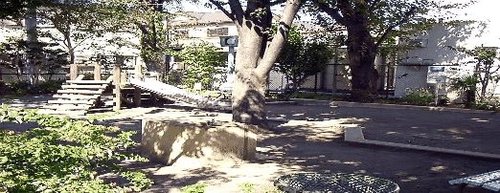 杉並区浜田山４丁目　中古戸建　限定1棟 公園