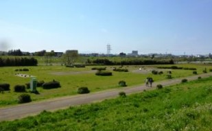 東急ドエルアルス等々力 公園