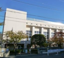 東急ドエルアルス等々力 小学校
