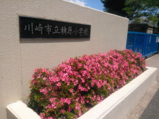 川崎市宮前区菅生ケ丘　 新築戸建 　全1棟 小学校