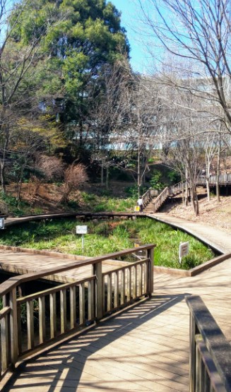 ライオンズマンション鷺沼第５ 公園