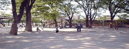 杉並コーポラス 公園