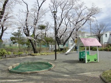 横浜市港北区日吉本町５丁目　中古戸建　限定1棟 公園