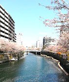 ライオンズプラザ井土ヶ谷壱番館 その他