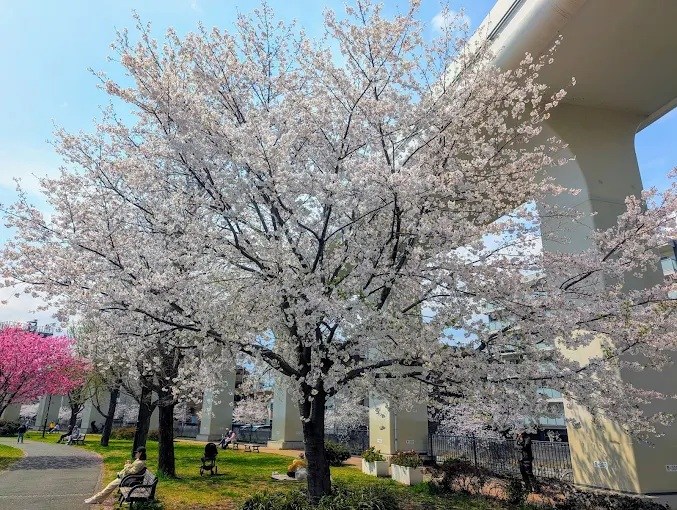 ライオンズプラザ井土ヶ谷壱番館 その他