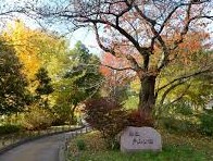 ルジェンテ早稲田 公園