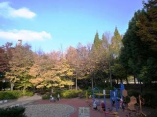 パルテール小石川五丁目 公園