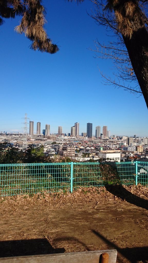 川崎市中原区井田３丁目　新築戸建　1号棟   公園
