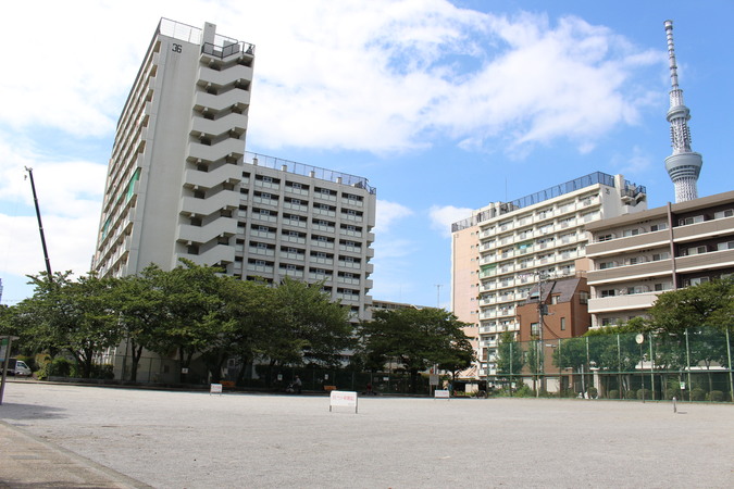 江東区亀戸３丁目　売地　全1区画 公園