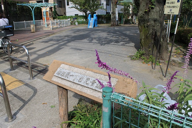 パークホームズ南池袋 公園