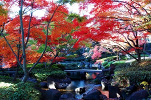 豊栄荻窪ステーションプラザ 公園