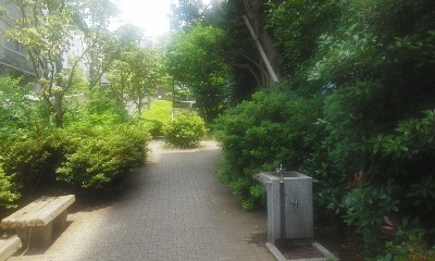 ニュー外苑ハイツ 公園
