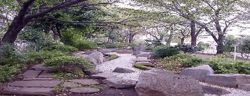 パールハイツ桜上水 公園