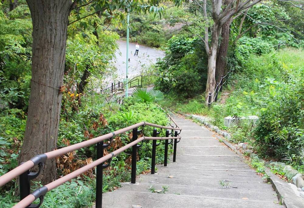 Ｄクラディア横浜白楽 公園