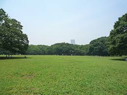 ブランクレア代々木公園 公園